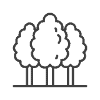 Over 2400 trees of 60+ species