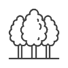 600-trees 600 Trees
