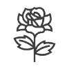 rose-aroma-gardens Rose Aroma Gardens