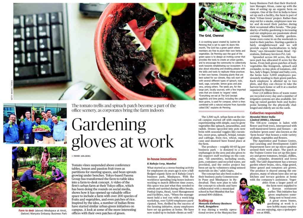 Gardening gloves at work